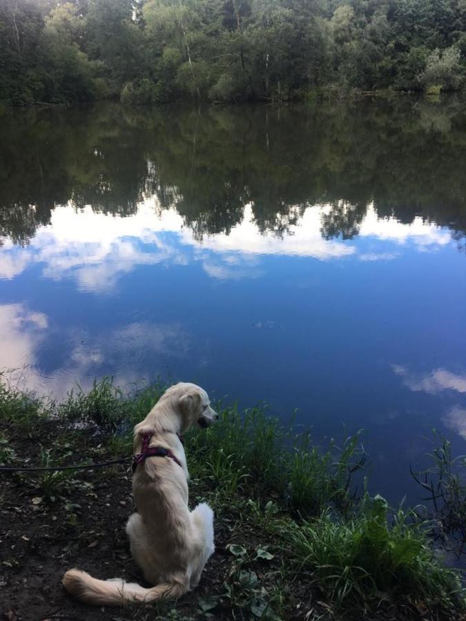 Millies Hosting - Familienurlaub Mit Hund In Kaernten Sankt Paul im Lavanttal Экстерьер фото