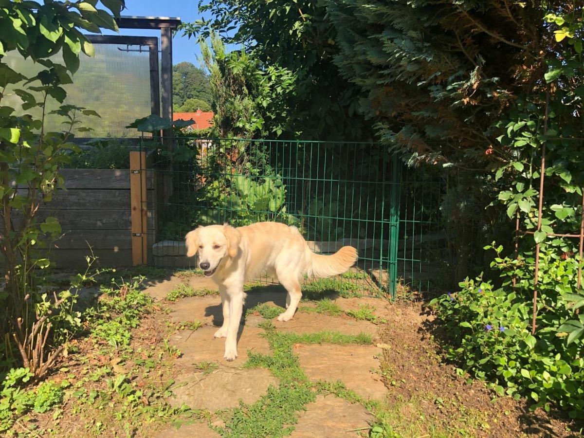Millies Hosting - Familienurlaub Mit Hund In Kaernten Sankt Paul im Lavanttal Экстерьер фото