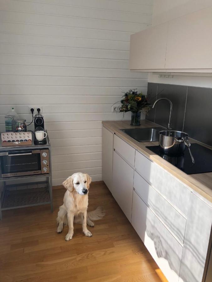 Millies Hosting - Familienurlaub Mit Hund In Kaernten Sankt Paul im Lavanttal Экстерьер фото