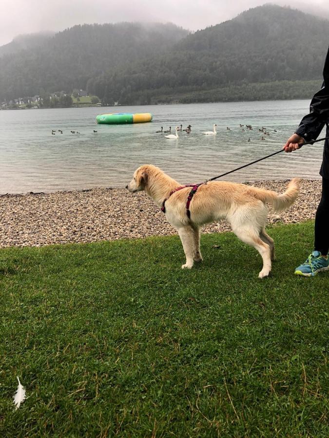 Millies Hosting - Familienurlaub Mit Hund In Kaernten Sankt Paul im Lavanttal Экстерьер фото