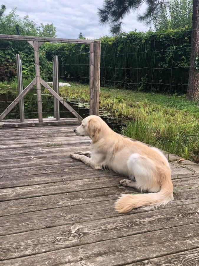 Millies Hosting - Familienurlaub Mit Hund In Kaernten Sankt Paul im Lavanttal Экстерьер фото