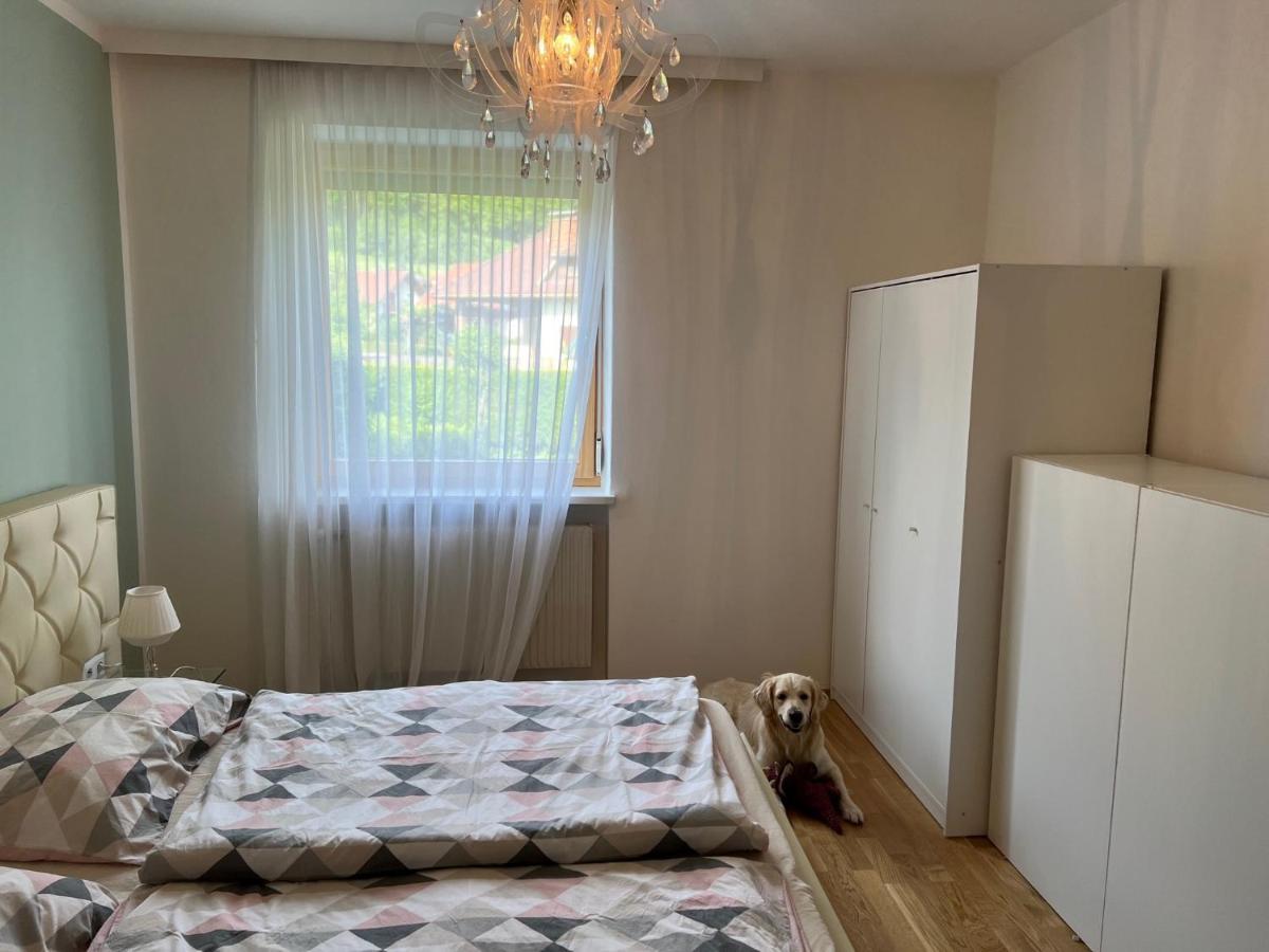 Millies Hosting - Familienurlaub Mit Hund In Kaernten Sankt Paul im Lavanttal Экстерьер фото